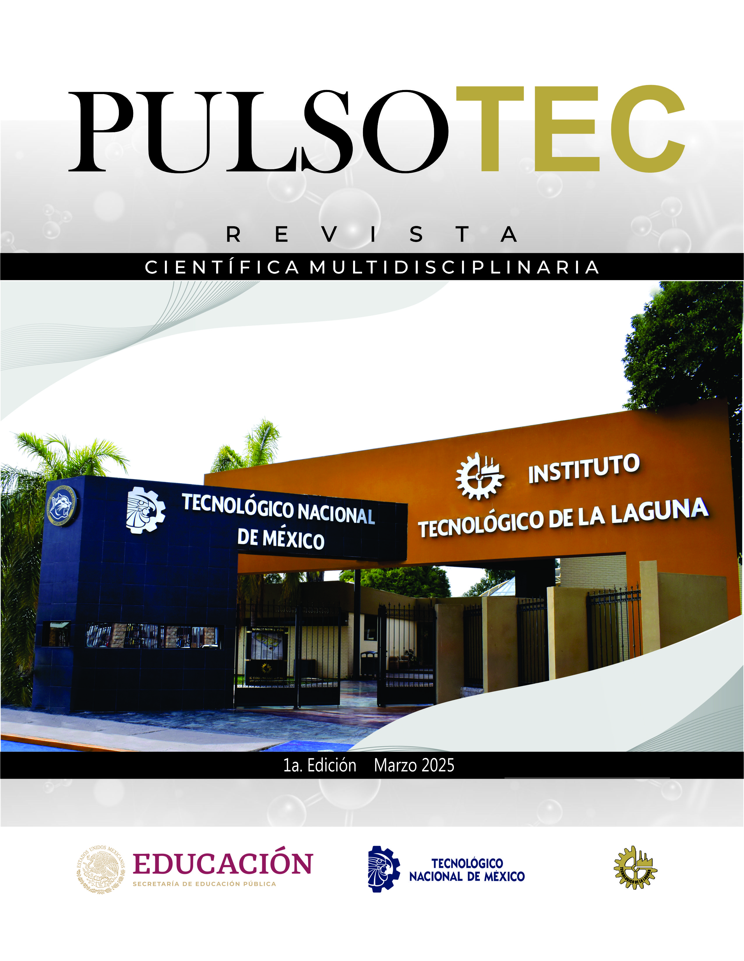 Portada de la edición actual de PulsoTec